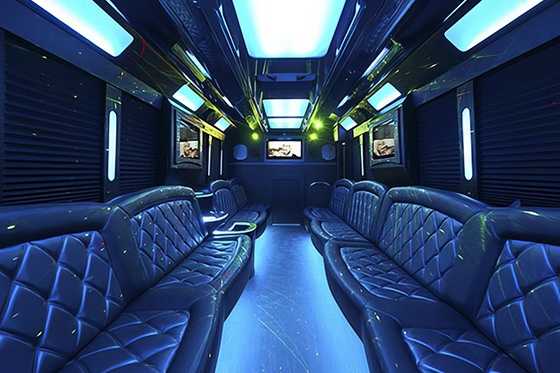 30-passenger party bus rental