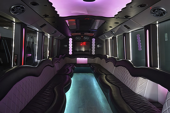 Lansing party bus rental